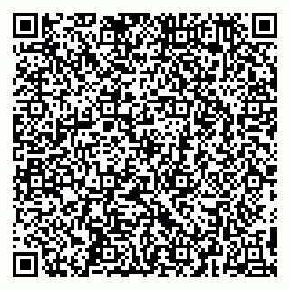 vCard 79295525300