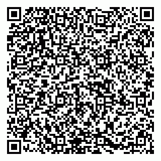 vCard 79295525301