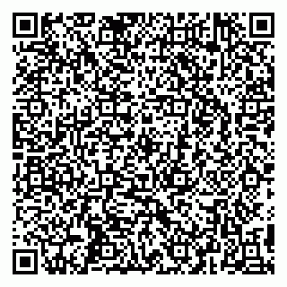 vCard 79295525303
