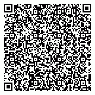 vCard 79295525304