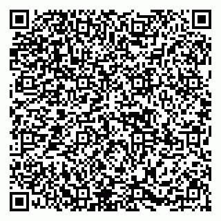 vCard 79295525305