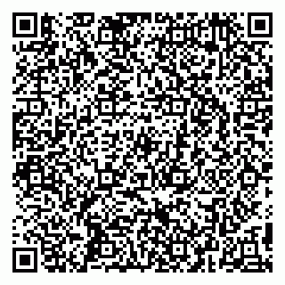 vCard 79295525309