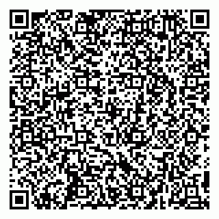vCard 79295525310
