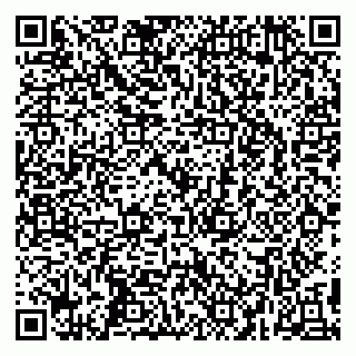 vCard 79295525311