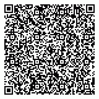 vCard 79295525313