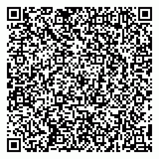 vCard 79295525314