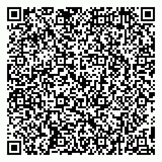 vCard 79295525329