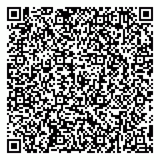 vCard 79295525330