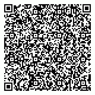 vCard 79295525331