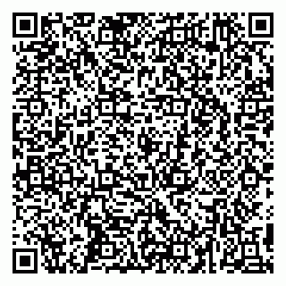 vCard 79295525332