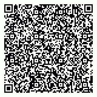 vCard 79295525333