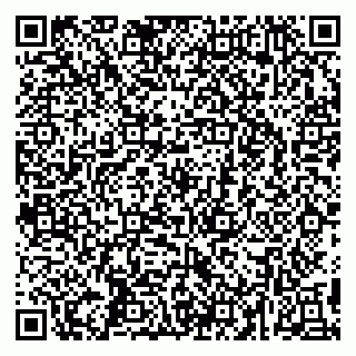 vCard 79295525335