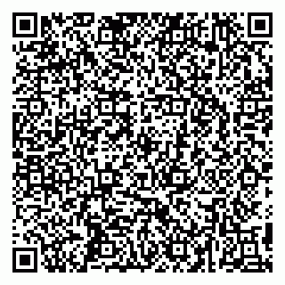 vCard 79295525337