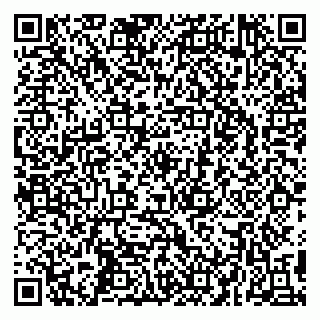vCard 79295525353