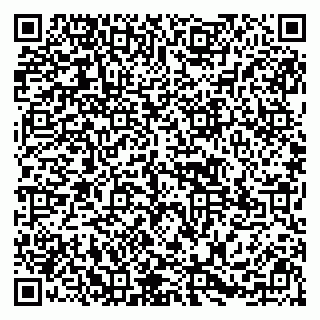 vCard 79295525363