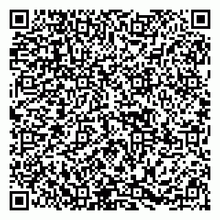 vCard 79295525370