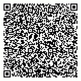 vCard 79295525371