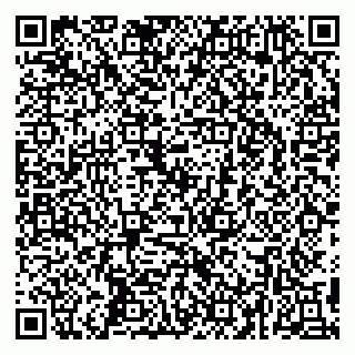 vCard 79295525374