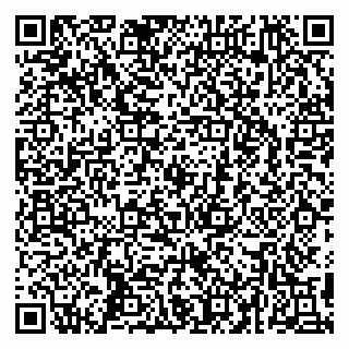 vCard 79295525376