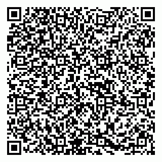 vCard 79295525377