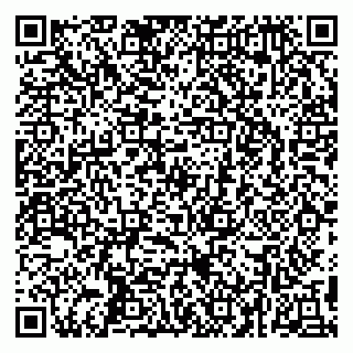 vCard 79295525378
