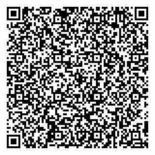 vCard 79295525379