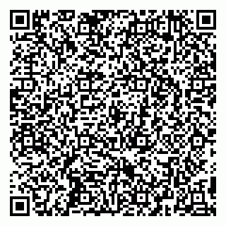 vCard 79295525381