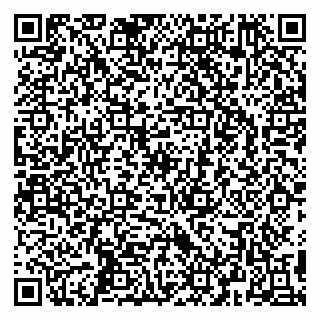 vCard 79295525382