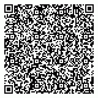 vCard 79295525383