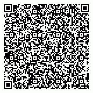 vCard 79295525385