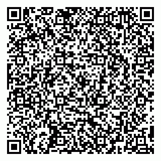 vCard 79295525388