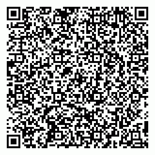 vCard 79295525389