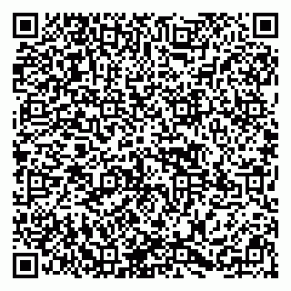 vCard 79295525390