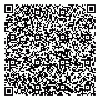 vCard 79295525393