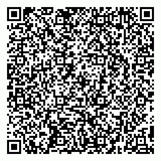 vCard 79295525399