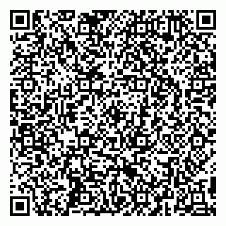 vCard 79295525400