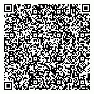 vCard 79295525403
