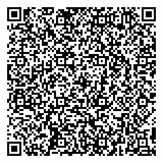 vCard 79295525404