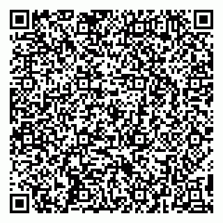 vCard 79295525405