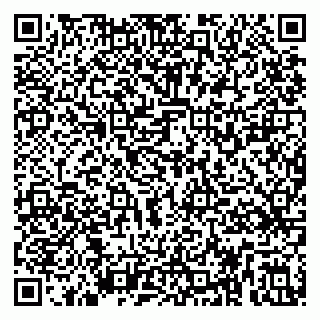 vCard 79295525411