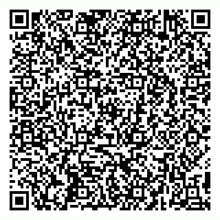 vCard 79295525413
