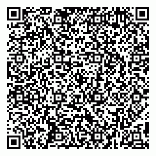 vCard 79295525419