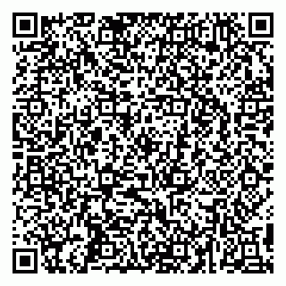 vCard 79295525434