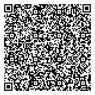 vCard 79295525487