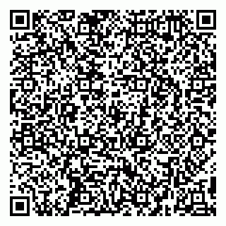 vCard 79295525498