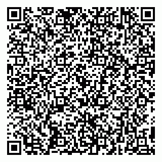 vCard 79295582303