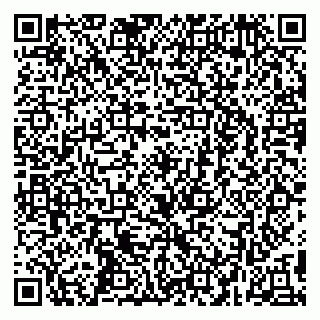 vCard 79295673219