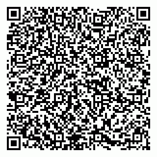 vCard 79295673246
