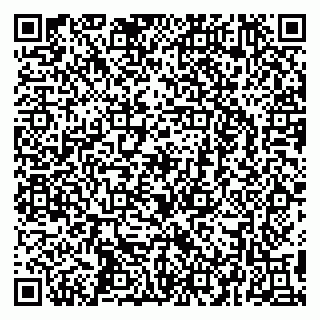 vCard 79295673247