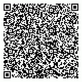 vCard 79295673289